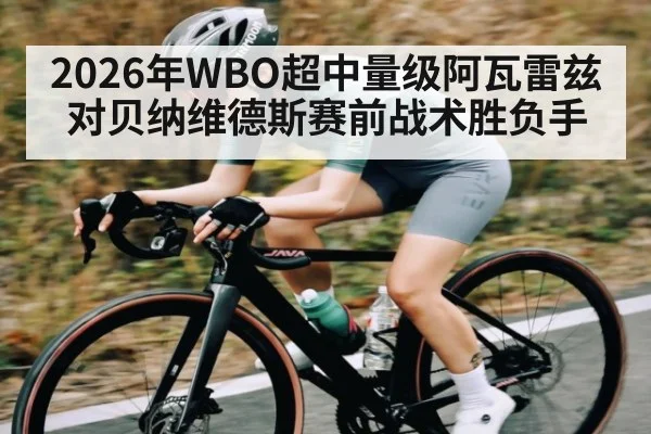 2026年WBO超中量级阿瓦雷兹对贝纳维德斯赛前战术胜负手